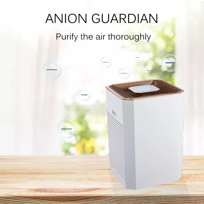 Efficient Purification Air Purifier