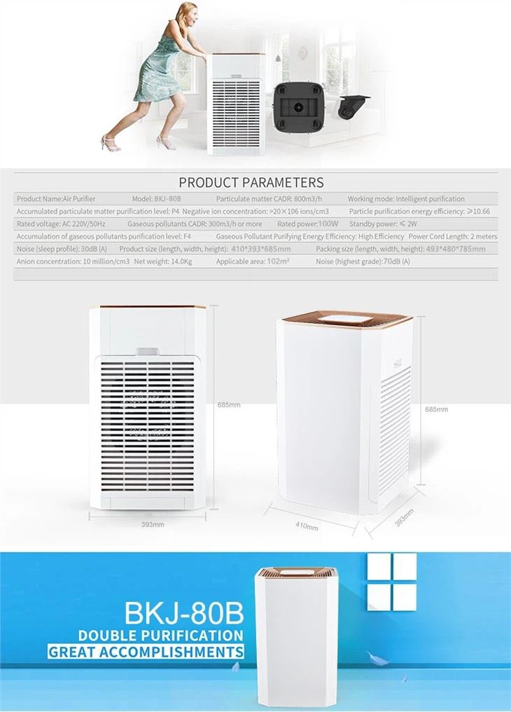 HEPA Air Purifier For Home Allergens Smoke