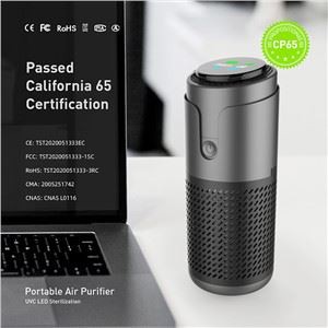 Purificateur d'air HEPA pour véhicule 2022