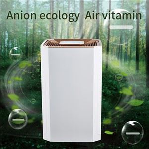 Le purificateur d'air BKJ-80B supprime les allergènes et les PM2,5 d'intérieur