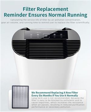 OEM de purificateur d'air Beilian à usage domestique