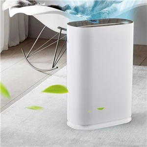Conception OEM de purificateur d'air frais de pièce