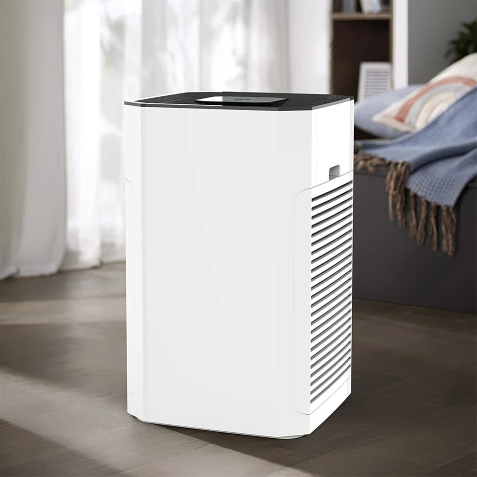 Purificateur d