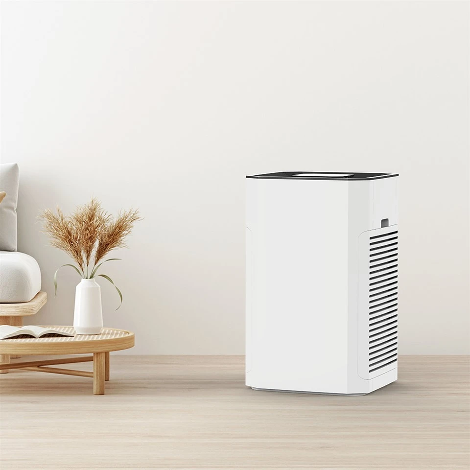 BKJ-80B élimine les allergènes et le purificateur d