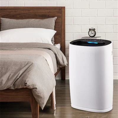 BKJ -306 Purificateur d'air de soins Heatlh avec High CADR