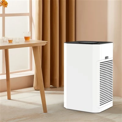 BKJ -80 B Purificateur d'air pour grand espace